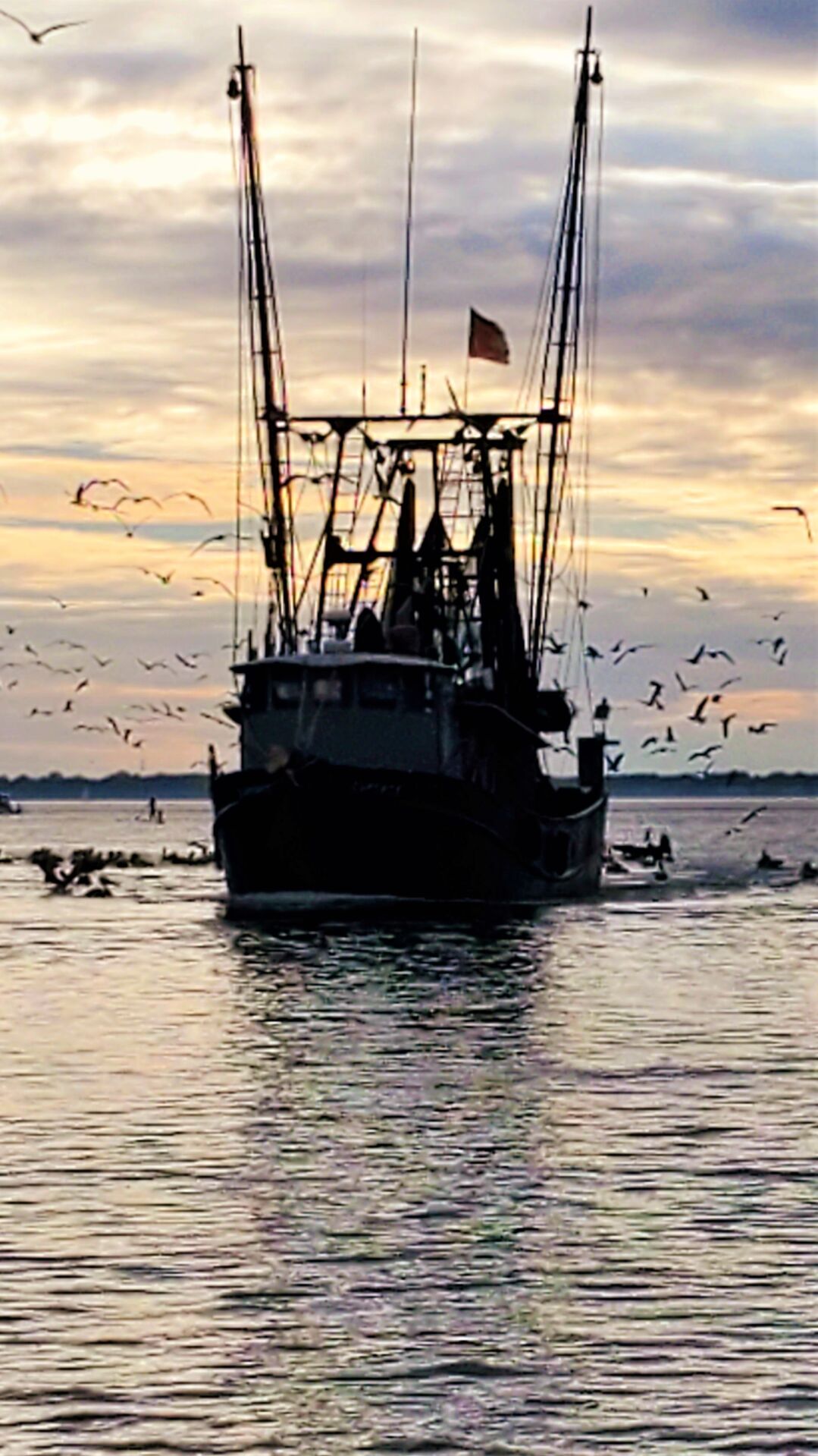 Shrimp boat